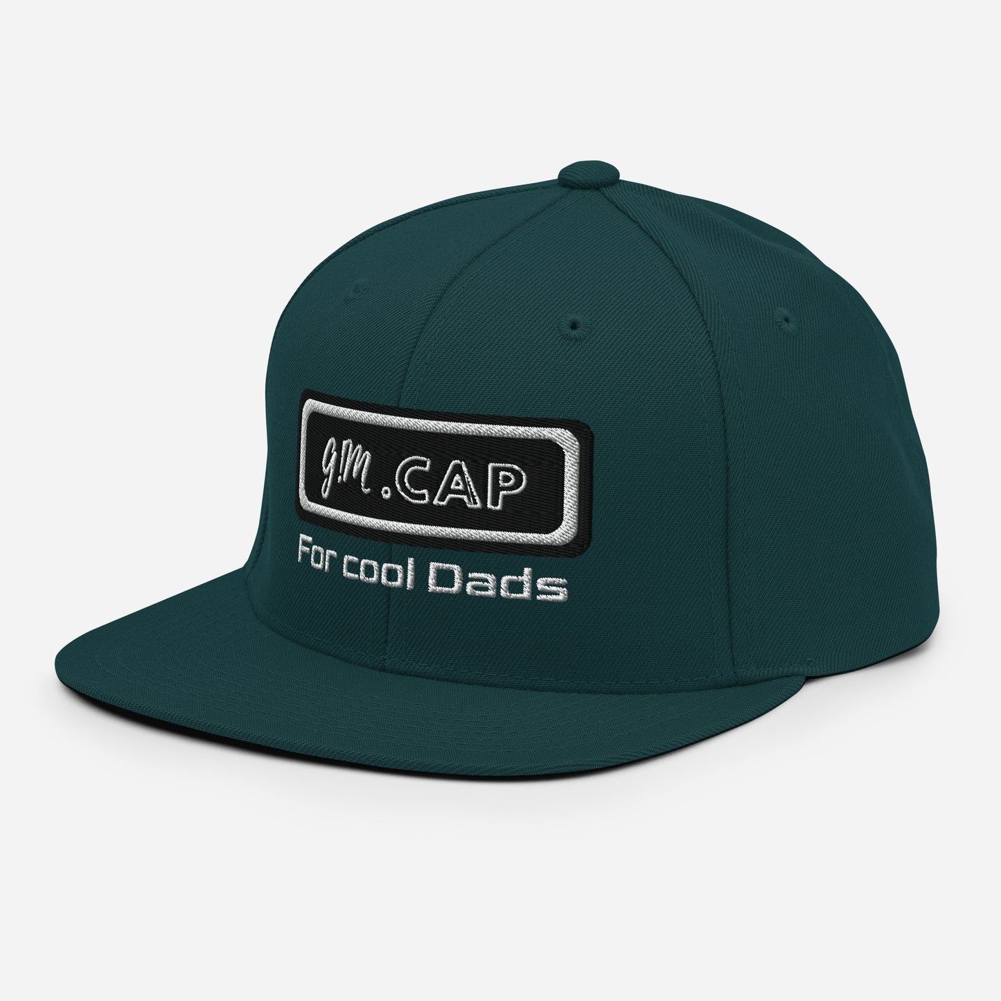 Gym Cap For cool Dads - Snapback