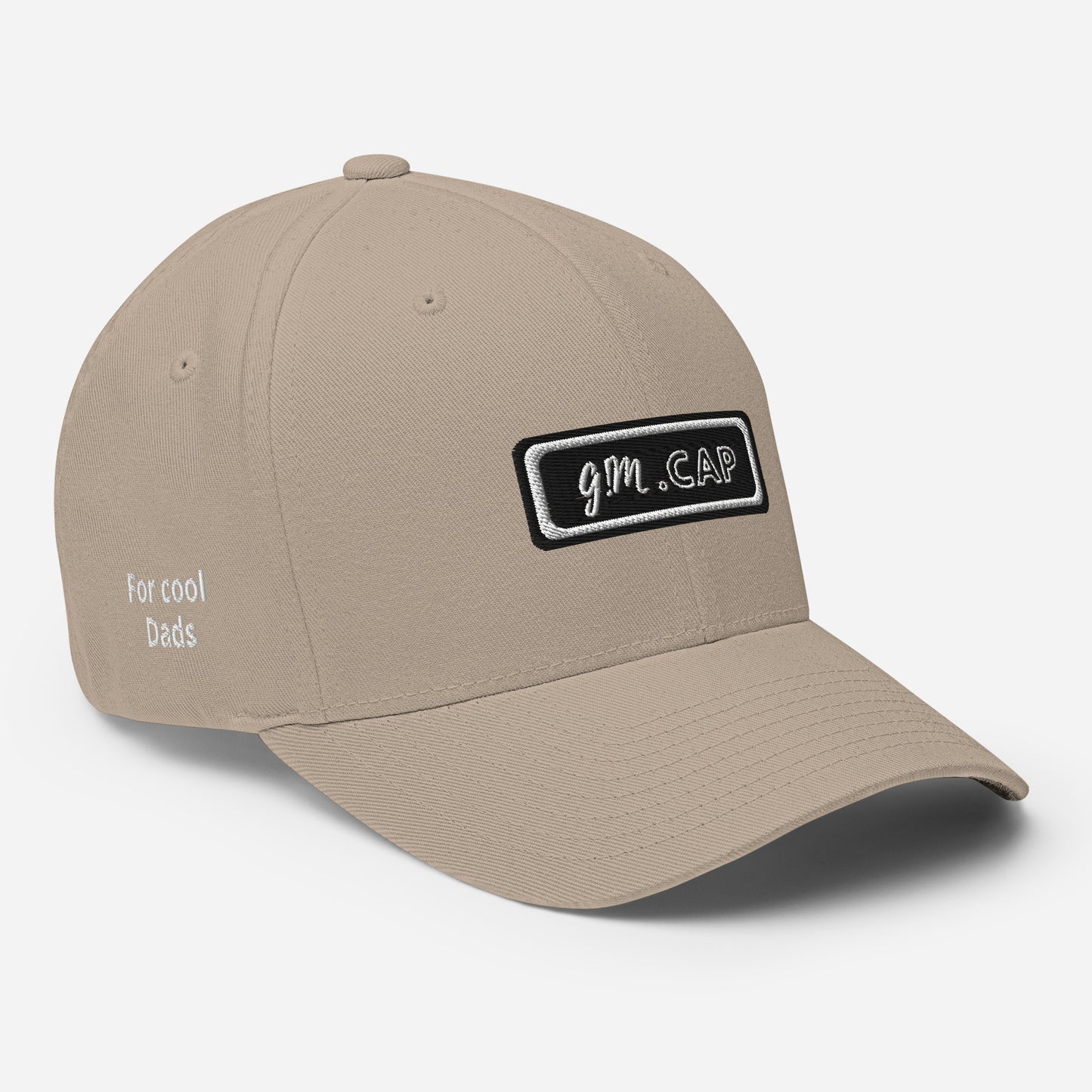 Gym Cap For cool Dads - Fullcap